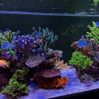 555089253_17890256181347290_8365068435365151687_n