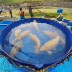 555958158_829659896258819_7241036527535974141_n