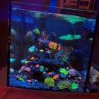 555423003_18376187083195017_3543022177964186492_n