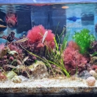 556047353_2625747297776204_7187210917739134663_n