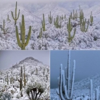 573279715_820622163949718_2510729528526623352_n