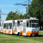 574619452_868278382197676_1730686129420521089_n