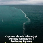 575100214_122213655926100257_9213054837504341542_n