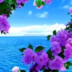 604615465_10235375192394562_3643885256356412169_n