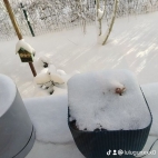 watermark-622a614dde273df69220850c7c99ade9_0