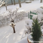 watermark-3ba5907868b4cce570b2d8fb462fbe70_0