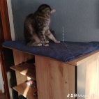 watermark-a2bb77abe3811276405843453b66c015_0