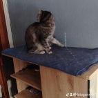 watermark-ccc8200bf2cc050083e8908835dca532_0