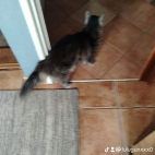 watermark-141cbf29c0ca06ac95e41448121fa3e6_0