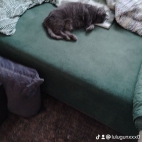 watermark-fa825729db36d0da166c1b498f4516eb_0