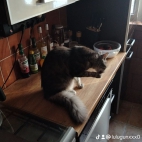 watermark-29e0c20fd42b8b817f997f6bdfdd3dc4_0