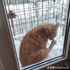 watermark-f3a6d3c8022ebe5e2055ddae4340aa5f_0