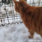 watermark-87f2fc08f579bdff79aec57c13986661_0