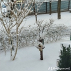 watermark-d054d4682856f0aa8d7b64a45f64804c_0