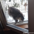 watermark-9a0f9ea527876dc40d42ee1057c30856_0