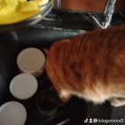 watermark-b01dad46f839cf36c1732ad4a81f4873_0