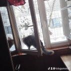 watermark-6bcd57fa510490dfc067f9dfad2e2fb1_0