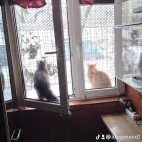 watermark-dcf2e55b219e8e467ee5a381c67057f9_0