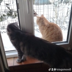 watermark-9cad9848a5a850afabc2ae067c21b8fb_0