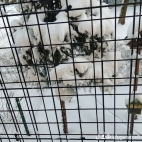 watermark-a87ca2308f441302a531d02274cba6af_0