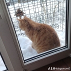 watermark-3cca4f58b0f5d4b8c9f844b5a4fe2c8f_0