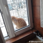 watermark-b452114965d01b473b167a6378f1a6df_0