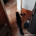 watermark-cf015dd88eae41b649d255a3860e7098_0