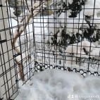 watermark-6378a1798c3a8ad4ad1a1fb23375c683_0