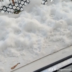 watermark-f1617a28a7929127f5d6211c291b0644_0