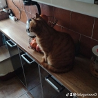 watermark-817611d68306e04ef15b672300c95a5c_0