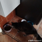 watermark-7b4ae5d68f787a24090a2370b1c8a84e_0