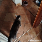 watermark-7b0733c76a79e47fe859c5e8aa666379_0