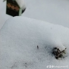 watermark-d11988752c9968a2be2efbfa436f7b59_0