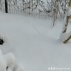 watermark-55364652fc700b6ab4289f279f7982bf_0