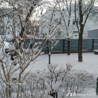 watermark-90909d4abfe1287328928c6bf8adb0f3_0