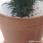 watermark-3c0c5287b6facfbc49347ad0a1d50430_0