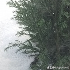 watermark-37cc5a4d1eda49e46a4ab0e5b6e6bf14_0