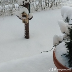 watermark-d3c3a338823ab369704b38ce39148c15_0