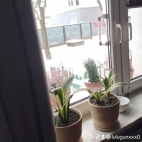 watermark-bc94a6939b6583e572c1d38ac0e9ba05_0