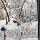 watermark-3d4784580d80ca8d899fe2d286790579_0