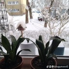 watermark-e7073260b481054565ec9cf0c131d8aa_0