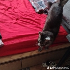 watermark-c0bfc4d72262e0633f11560b860db30b_0