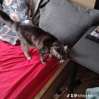 watermark-74876b7528d3821ef3fa279e21a5d697_0