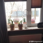 watermark-f748b09c4fc755d73f7db4a34e9f7d27_0