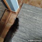 watermark-ed785501f4ee7d301be81ebefd0bc997_0