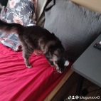 watermark-ab3727aab862f3ce96a3f29657a4833d_0