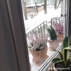 watermark-2d0d569290394118d3ba7df18d463689_0