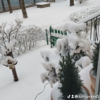 watermark-7d4634b2be63205aede0aa39e1f1ff47_0