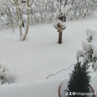 watermark-0aed1792b6f7022ea1bb80591d306b7f_0