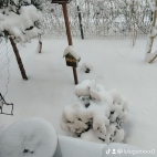 watermark-3f7f15c231b7ea9fd4013b8305b7e870_0